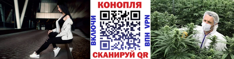 Купить где  Бакал  Бошки Шишки MAZAR 